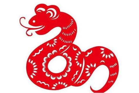 属蛇过了43岁怎么样