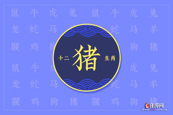 2019属猪的多大了