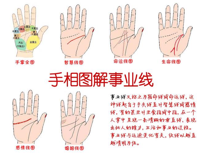手相指纹斗代表什么意思
