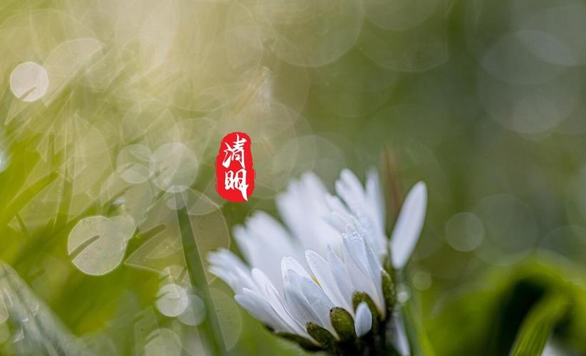 清明节晚上出生的女孩命好不好