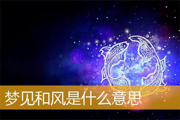 梦见和风是什么意思