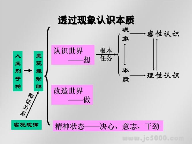 透过 透过现象看本质是什么哲学原理