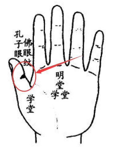 读书厉害的手纹