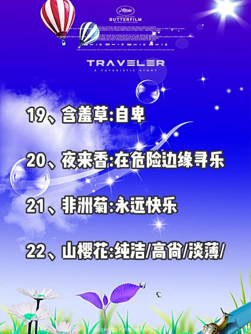 各种花的花语:金栗兰花语