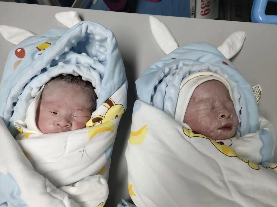 孩子将于午月出生。