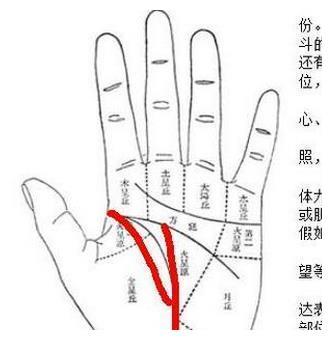 什么手相的男人比较持家?