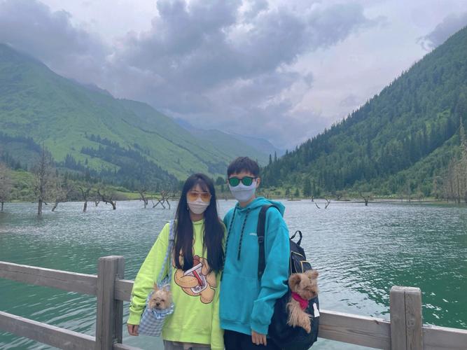 自驾游属狗会跑去多远的地方