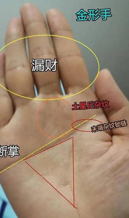 绝对发亿万之财的手相,断掌的人易发财