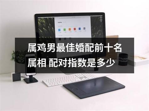 属鸡男的有趣指数