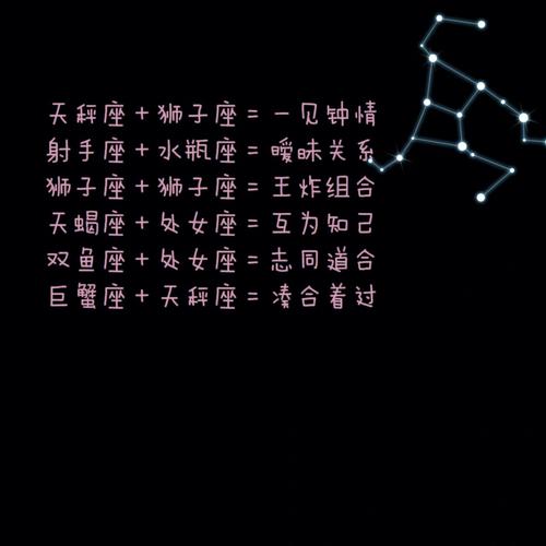 不能容许自己将就过生活的星座