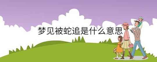梦见蛇一条蛇追我是什么意思