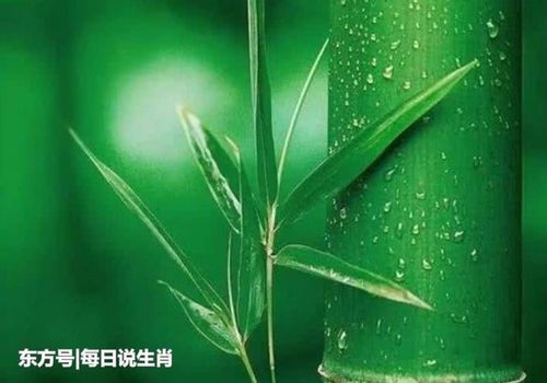 一生荣华富贵 特别有钱的时辰女