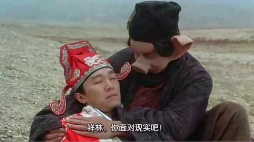 测谁会陪你一起面对现实压力