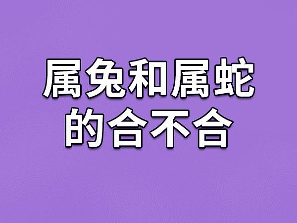 生肖兔和蛇合不合