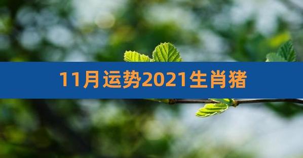 2021年11月属猪女运势会有起伏吗
