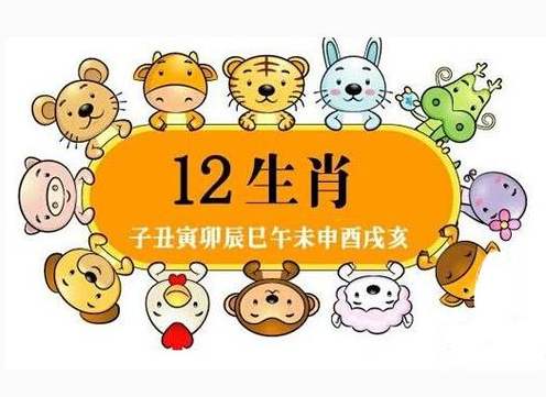 一月出生的1981年属鸡男命好吗?和属鼠的相配吗?