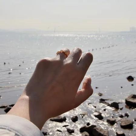 属狗2021年12月感情婚姻好不好