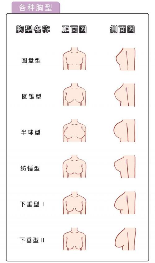 胸部形状分析你婚后命运