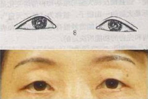 三角眼的女人太可怕