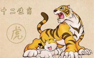 爸爸属马妈妈属虎孩子属什么好