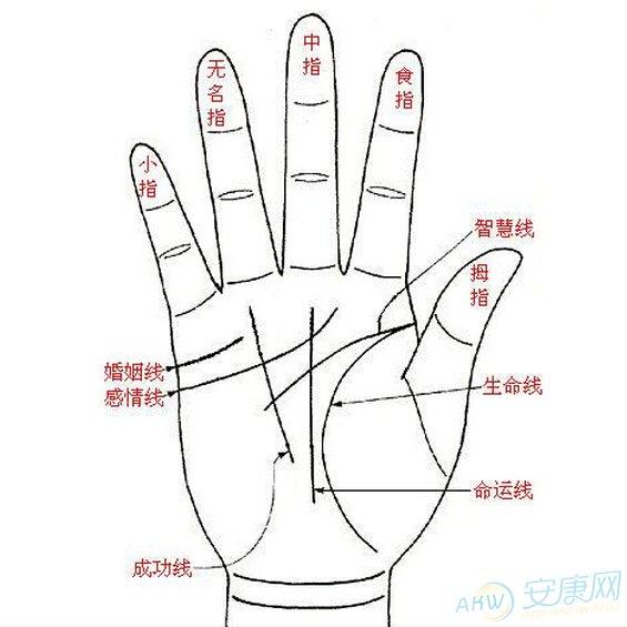 有钱人的手相分析