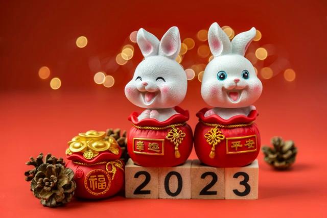 六月的兔命运如何,出生这个月份的属兔人好吗