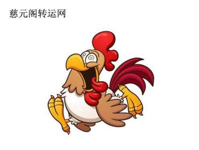 属鸡人真正爱上一个人需要多久