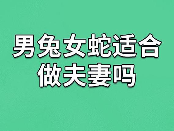 男蛇与女兔配婚姻好不好
