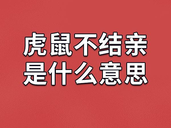 虎鼠不结亲是什么意思