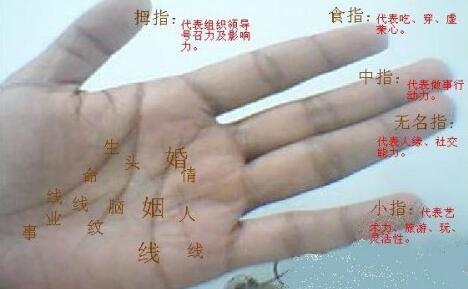 能嫁有钱人手相面相是怎样的?
