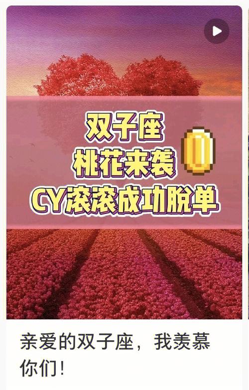 双子座一旦买到假货会有什么表现?
