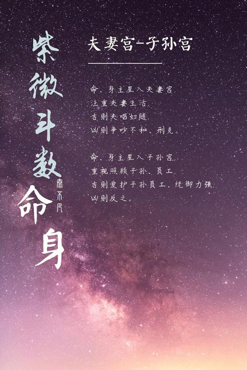 紫微斗数之斗数论命要旨