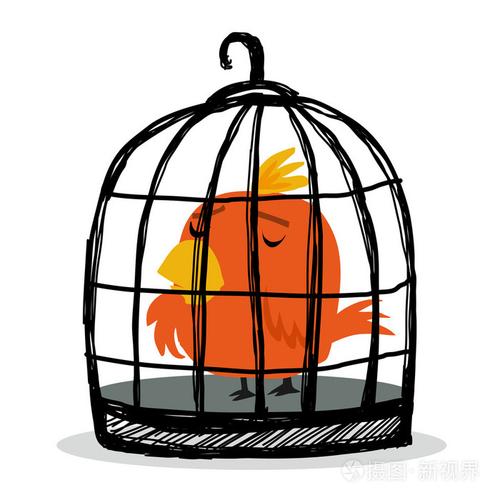 梦见将鸟关进笼子