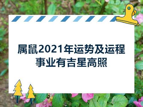 属鼠2021年运势及运程