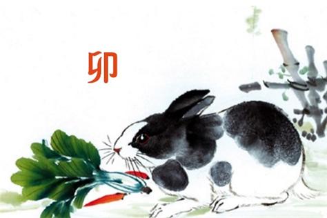1963年属兔人晚年命运枯木逢春