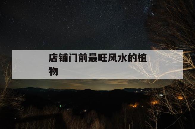 店铺风水放什么能保持人气旺