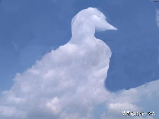梦到天上云彩变成动物是什么意思