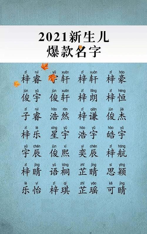 2021年6月生男孩带志的名字