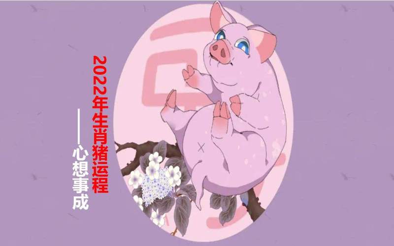 生肖属猪的人2022年什么运比较好