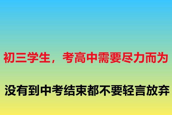 精神可嘉,百折不挠不轻言放弃的4个生肖