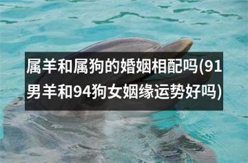 2021年属羊女被哪个男生宠爱最幸福