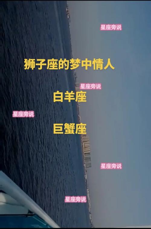 狮子座男生的梦中情人