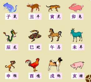 12生肖各有哪些特点?快来看看