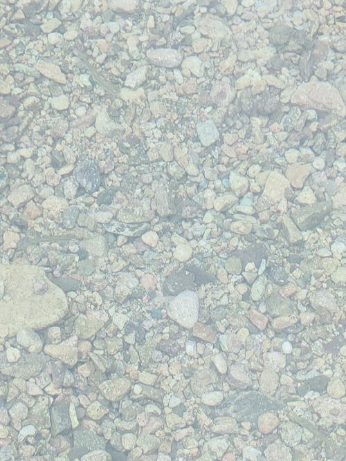 梦见水清澈见底还有鱼