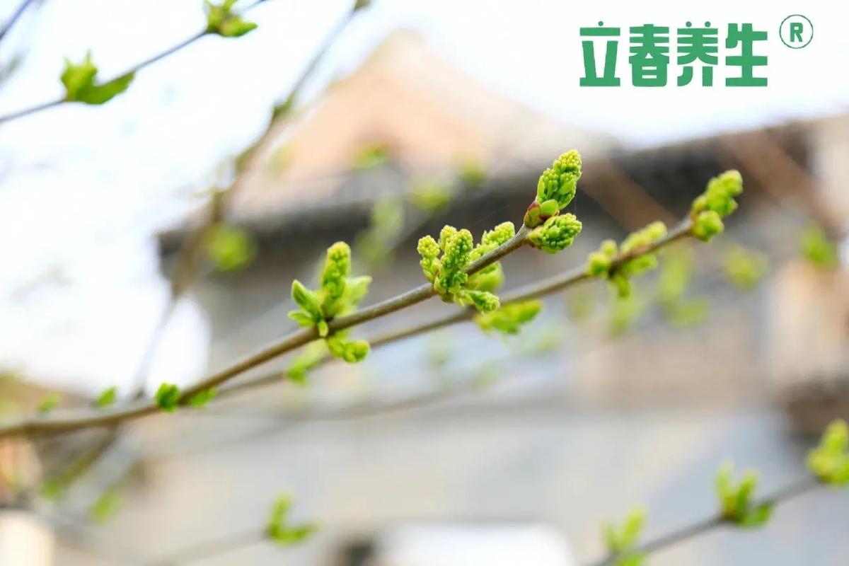 2021年2月3日腊月二十二立春出生的女宝宝八字详批