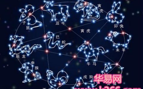 越冲越好的生肖组合