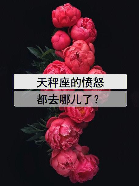 天秤座生气时的疯狂特征