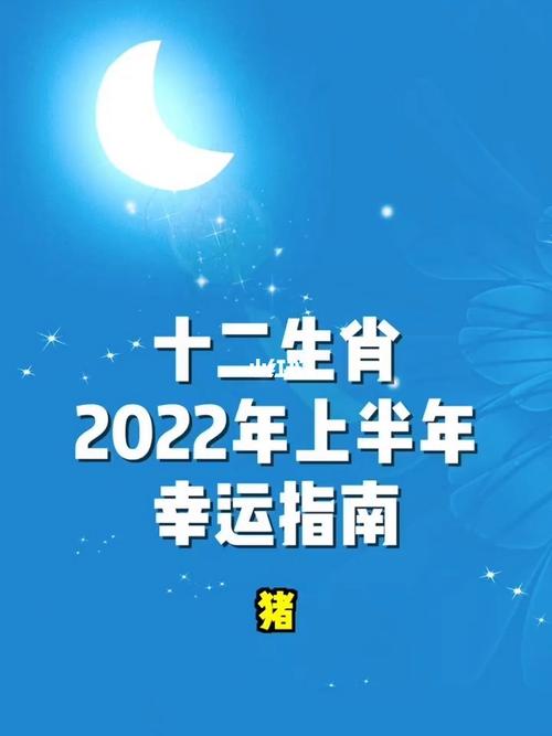 2022年生肖猪禁忌色