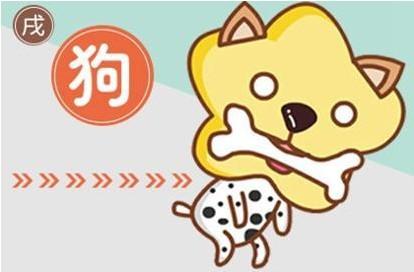 属狗的人2016年运势,属狗的哪年运势最好?(一)