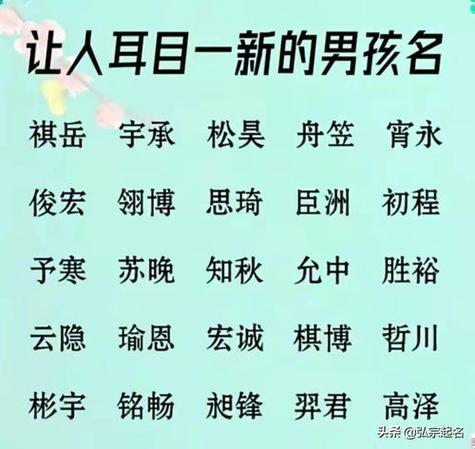 含骏字的男孩名字